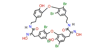 Bastadin 16